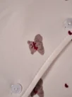 bear papillmon